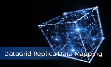 DataGrid Replica Data Mapping